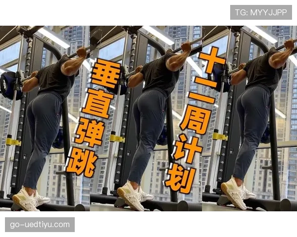 新手球员必学：篮球垂直起跳规则的解读与实践要点